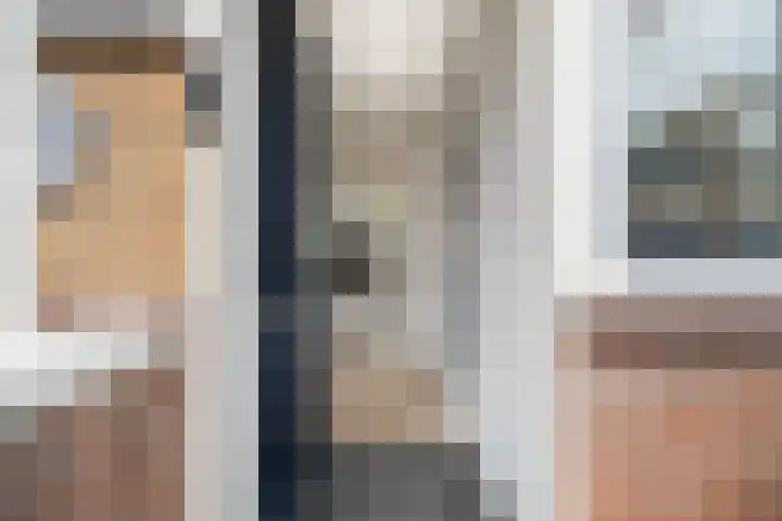 Lijster 17 De Lier thumbnail 10