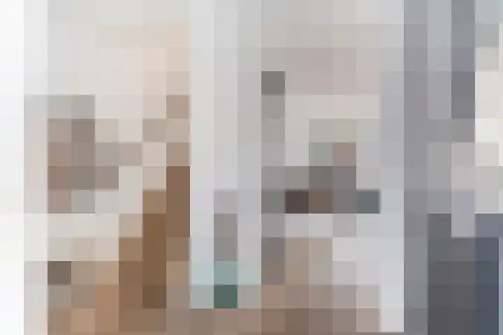Lijster 17 De Lier thumbnail 12