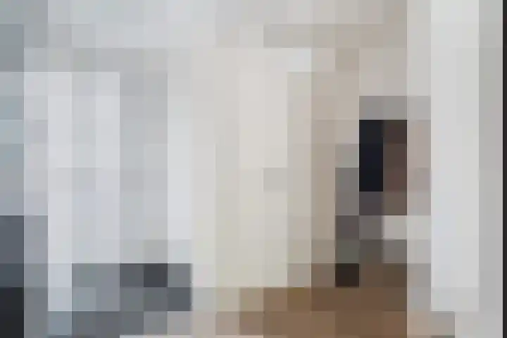 Lijster 17 De Lier thumbnail 13