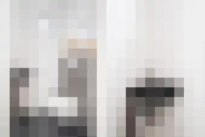 Lijster 17 De Lier thumbnail 14