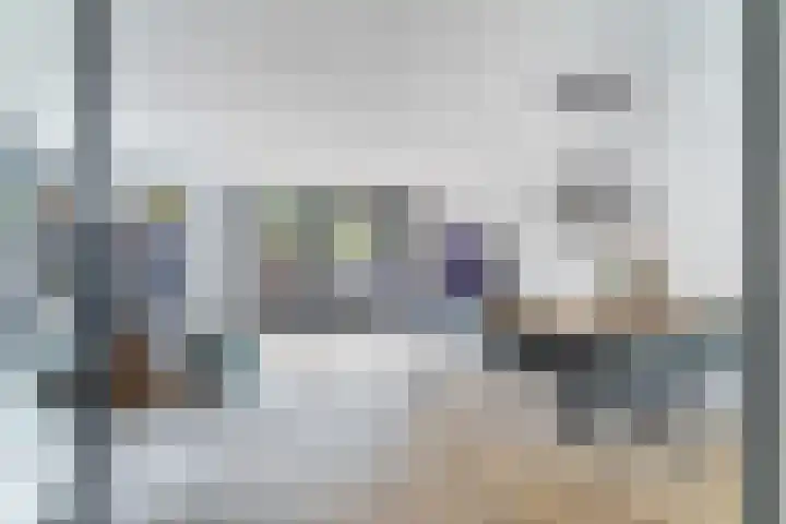 Lijster 17 De Lier thumbnail 15