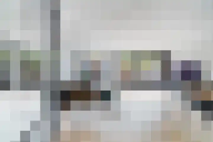 Lijster 17 De Lier thumbnail 16
