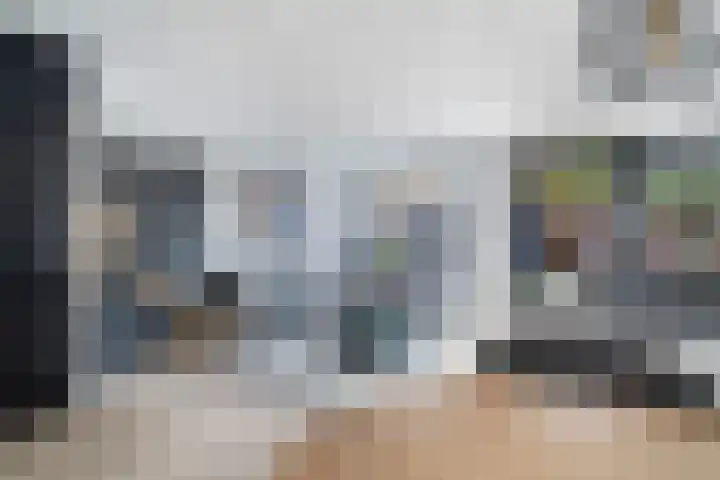 Lijster 17 De Lier thumbnail 17