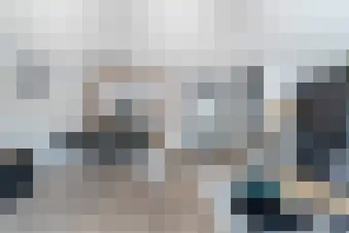 Lijster 17 De Lier thumbnail 21