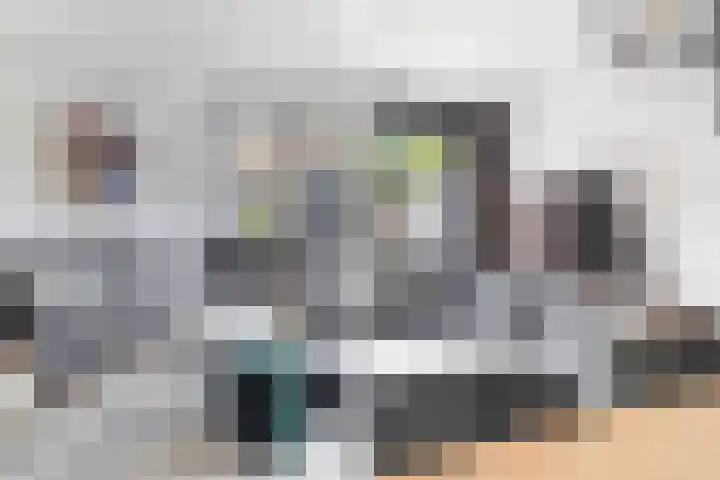 Lijster 17 De Lier thumbnail 22