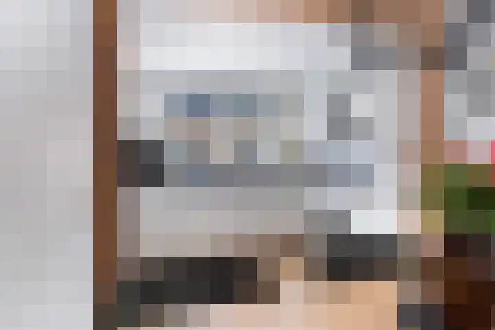 Lijster 17 De Lier thumbnail 23
