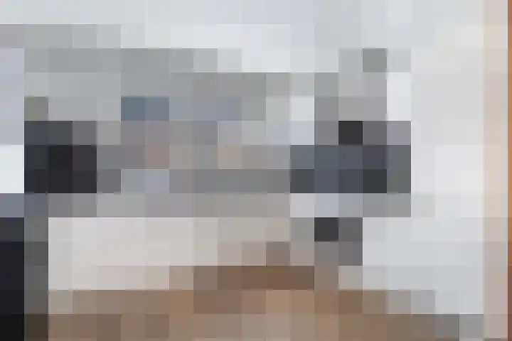 Lijster 17 De Lier thumbnail 25