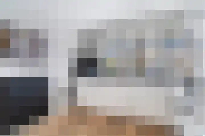Lijster 17 De Lier thumbnail 26
