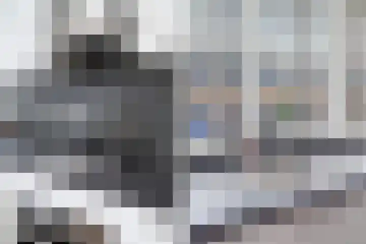 Lijster 17 De Lier thumbnail 27