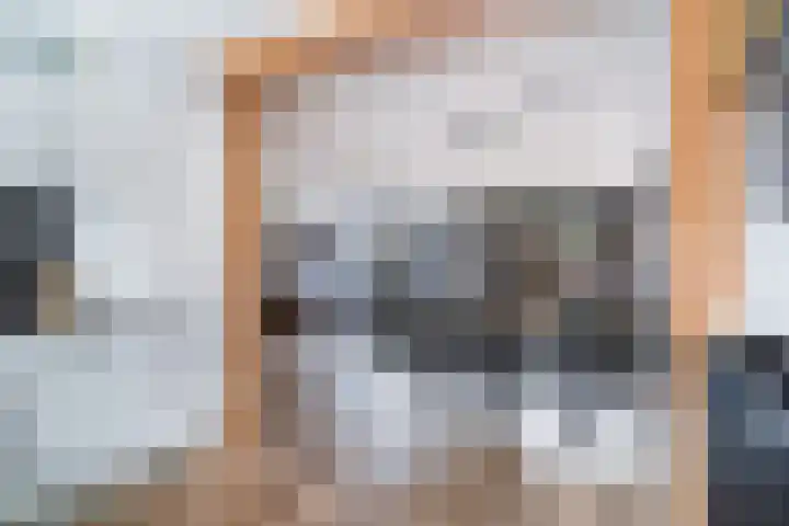 Lijster 17 De Lier thumbnail 28