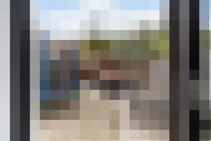 Lijster 17 De Lier thumbnail 29