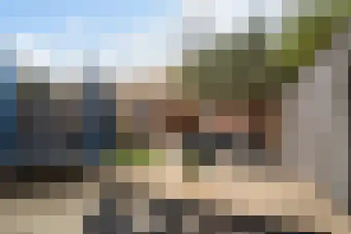Lijster 17 De Lier thumbnail 30