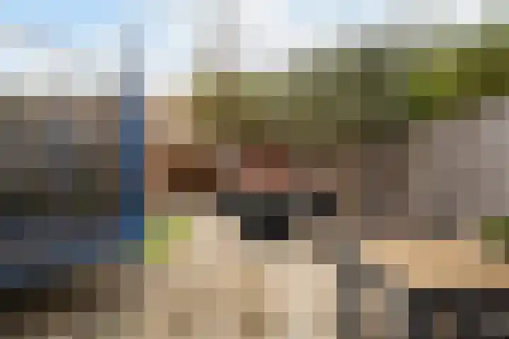 Lijster 17 De Lier thumbnail 31