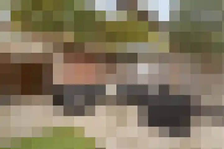 Lijster 17 De Lier thumbnail 32