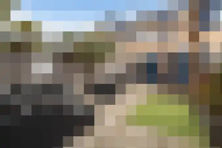 Lijster 17 De Lier thumbnail 33