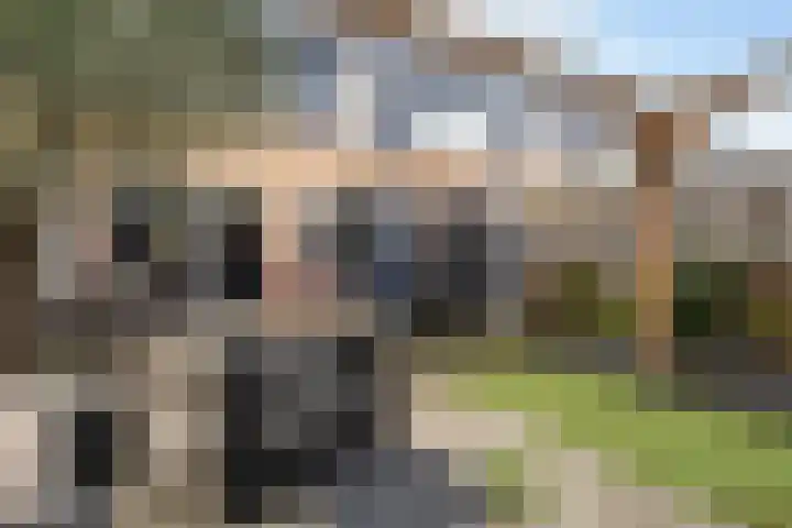 Lijster 17 De Lier thumbnail 34