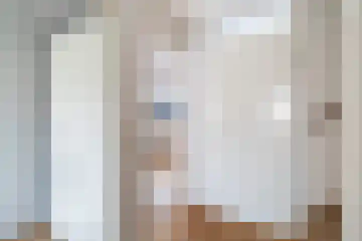 Lijster 17 De Lier thumbnail 36