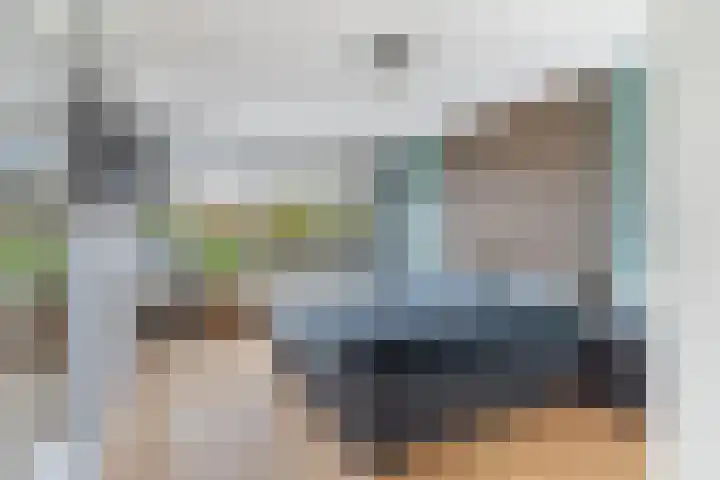 Lijster 17 De Lier thumbnail 38