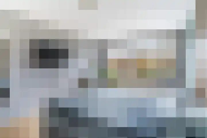 Lijster 17 De Lier thumbnail 39