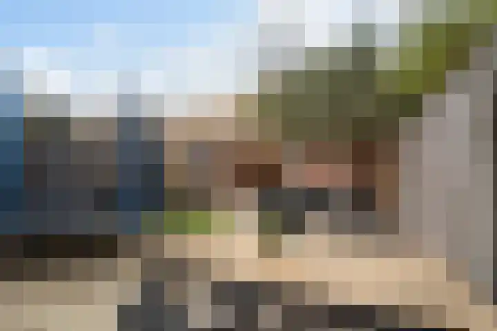 Lijster 17 De Lier thumbnail 4