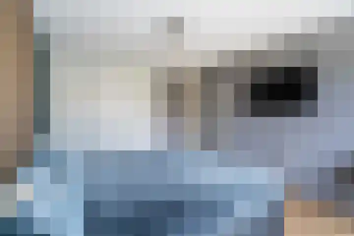 Lijster 17 De Lier thumbnail 41