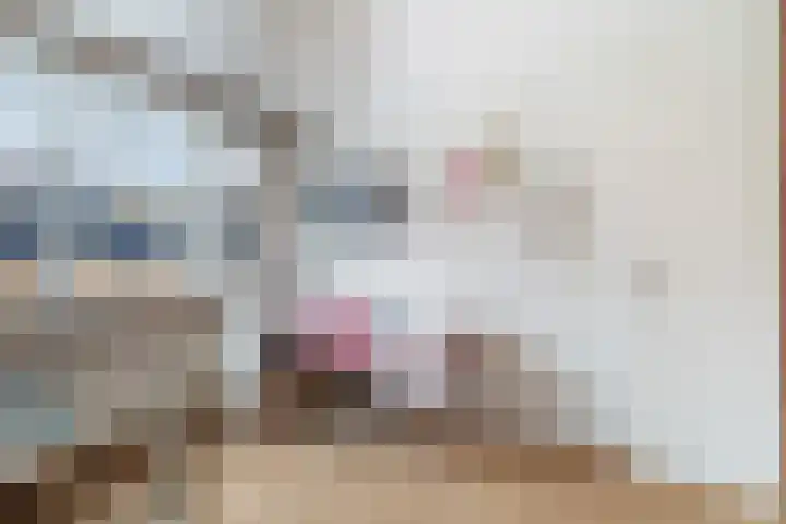 Lijster 17 De Lier thumbnail 44