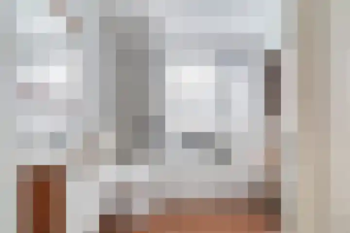 Lijster 17 De Lier thumbnail 49