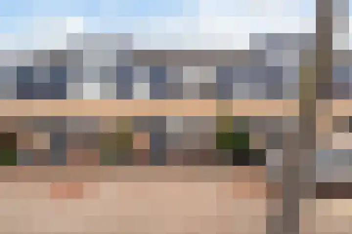 Lijster 17 De Lier thumbnail 5