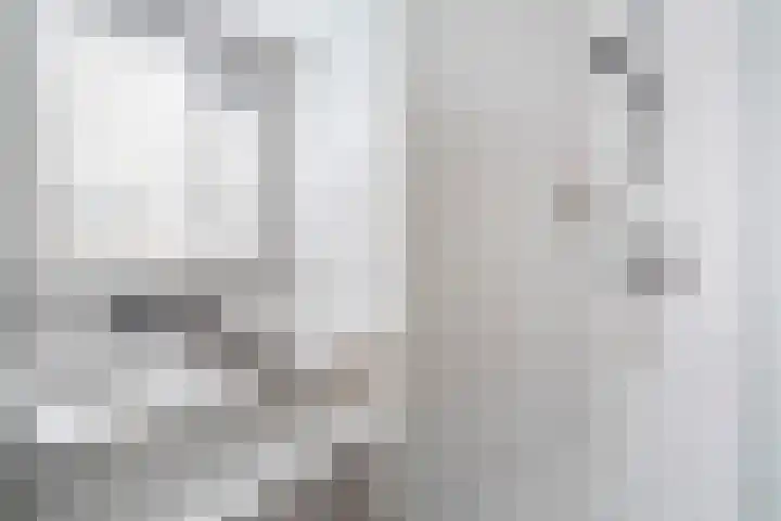 Lijster 17 De Lier thumbnail 51