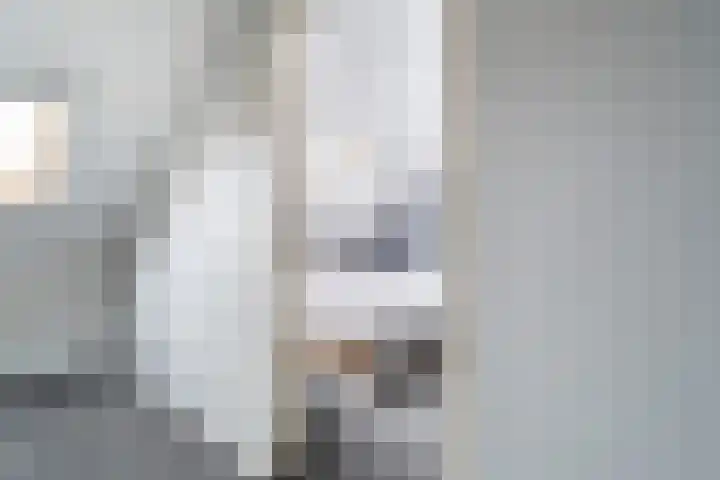 Lijster 17 De Lier thumbnail 55