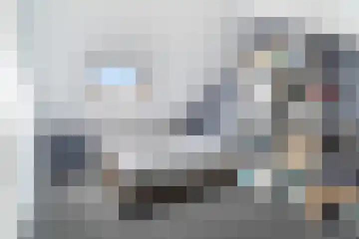 Lijster 17 De Lier thumbnail 58