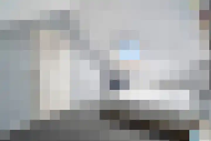 Lijster 17 De Lier thumbnail 59