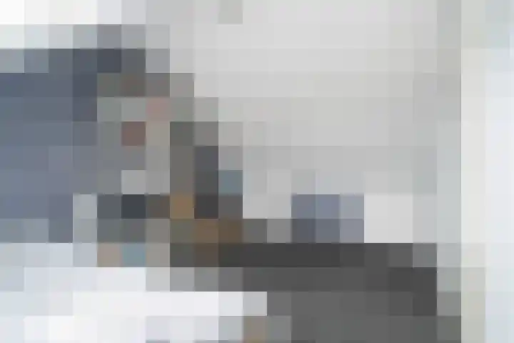 Lijster 17 De Lier thumbnail 60