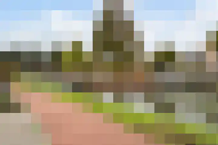 Lijster 17 De Lier thumbnail 61