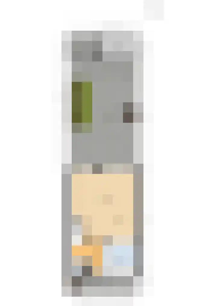 Lijster 17 De Lier thumbnail 62
