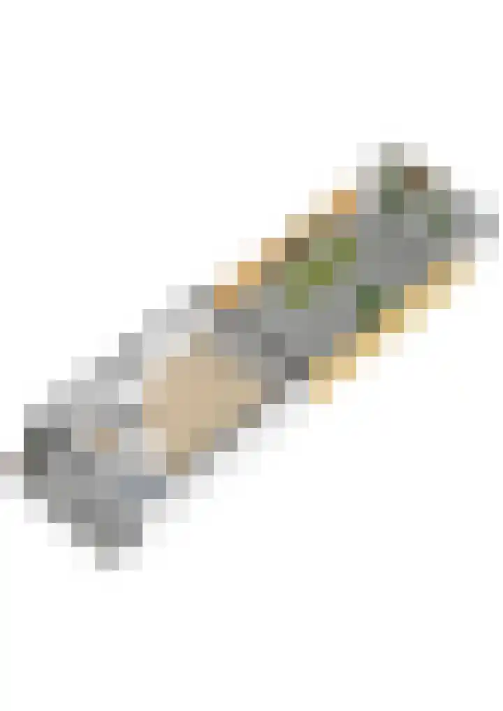 Lijster 17 De Lier thumbnail 63