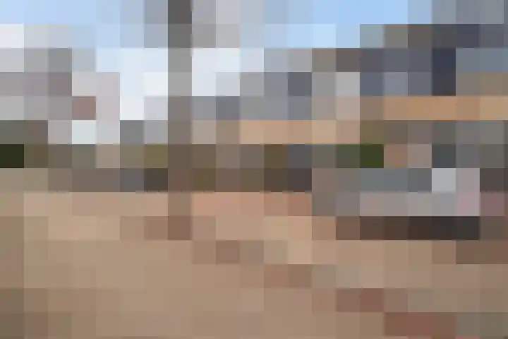 Lijster 17 De Lier thumbnail 7