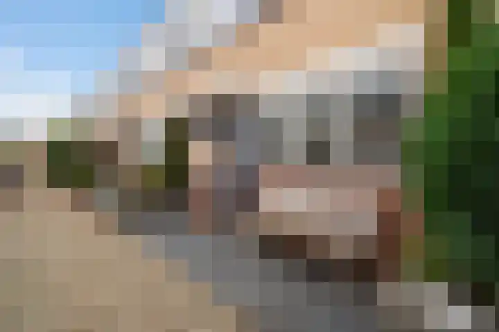Lijster 17 De Lier thumbnail 8
