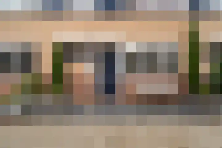 Lijster 17 De Lier thumbnail 9