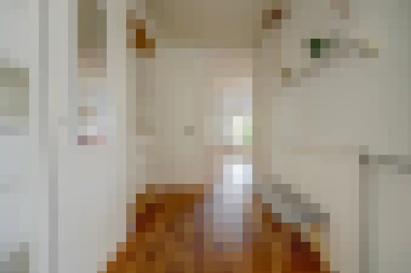 Lijster 17 Hoogvliet Rotterdam thumbnail 10