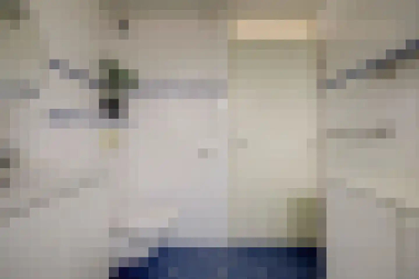 Lijster 17 Hoogvliet Rotterdam thumbnail 16