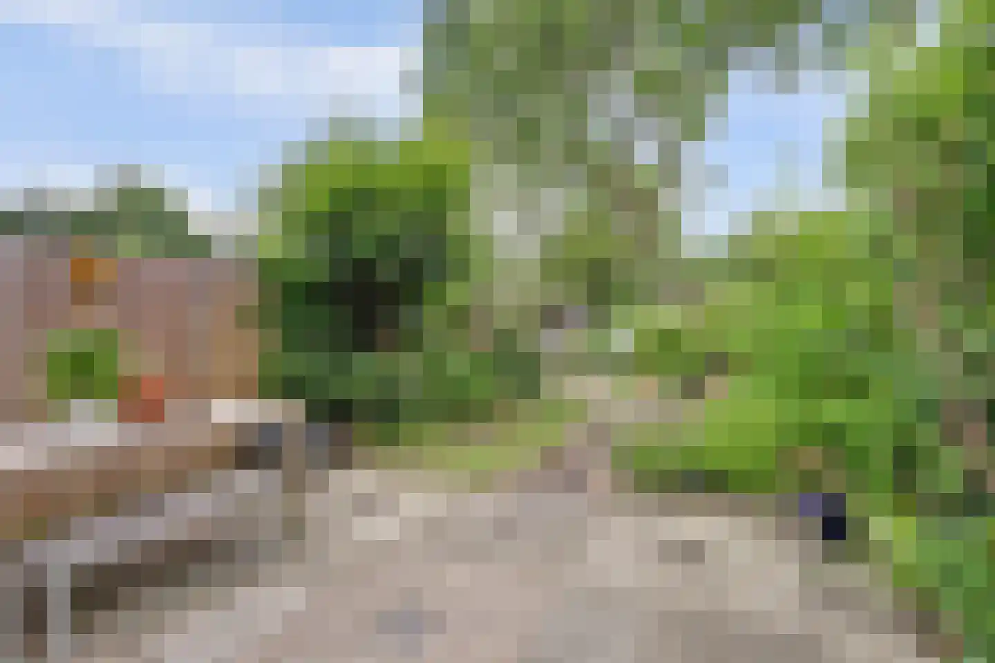 Lijster 17 Hoogvliet Rotterdam thumbnail 24