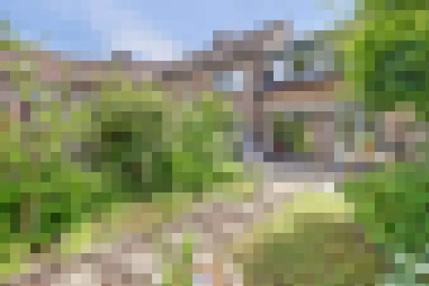Lijster 17 Hoogvliet Rotterdam thumbnail 26