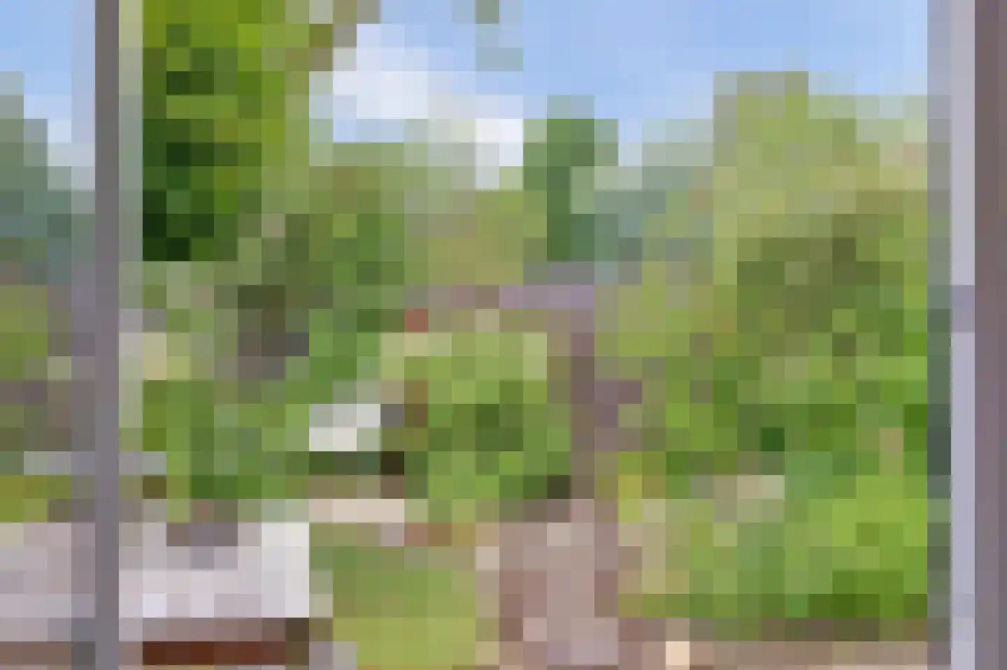 Lijster 17 Hoogvliet Rotterdam thumbnail 27