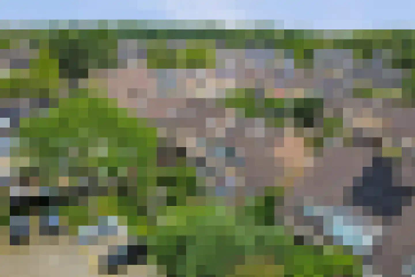 Lijster 17 Hoogvliet Rotterdam thumbnail 29