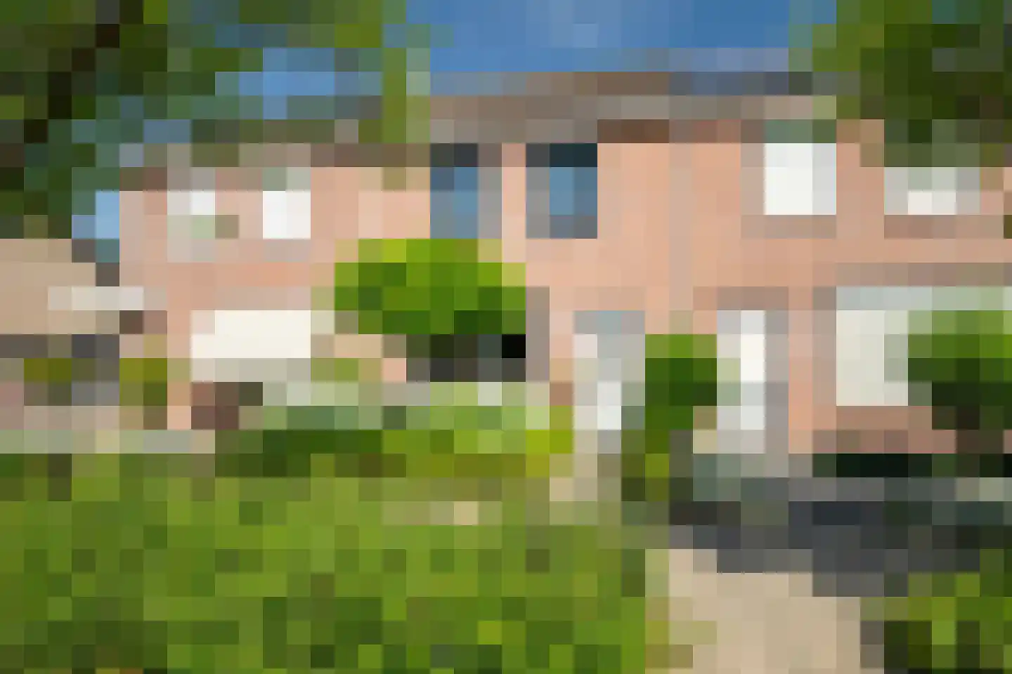 Lijster 19 in Genemuiden
