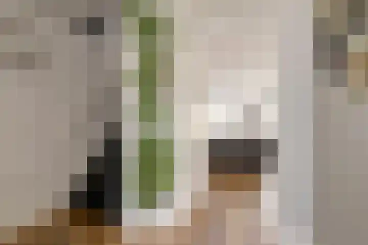Lijster 19 De Lier thumbnail 10