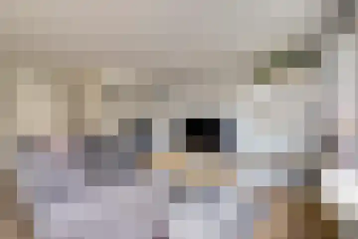 Lijster 19 De Lier thumbnail 12