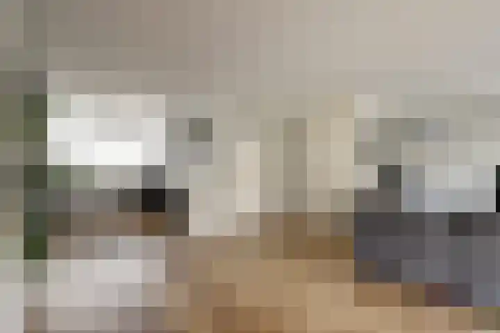 Lijster 19 De Lier thumbnail 14