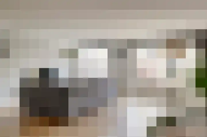 Lijster 19 De Lier thumbnail 15